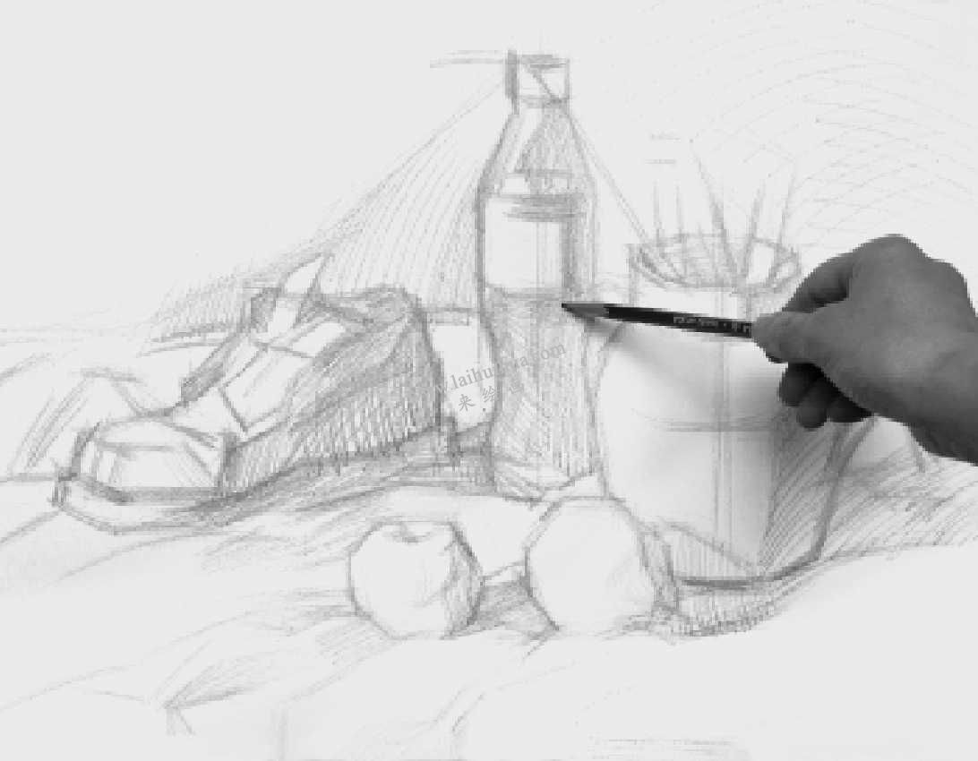 素描的静物写生步骤 04