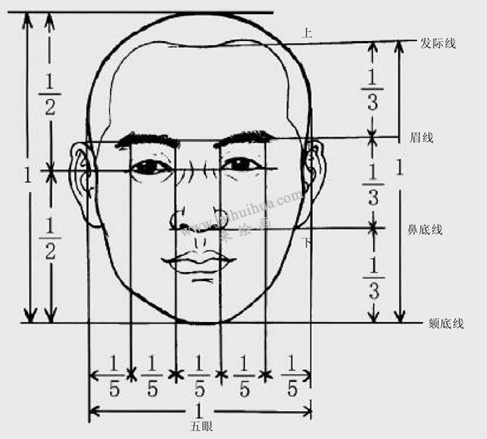 三庭五眼图