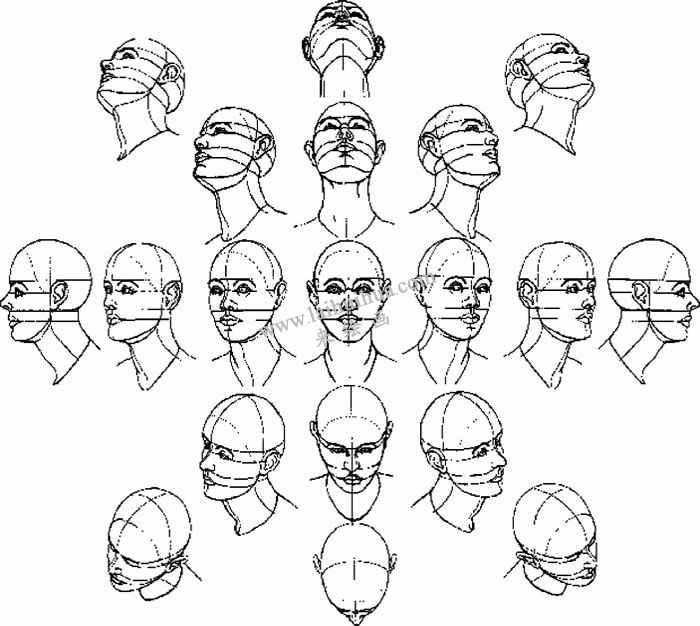 素描头部的透视变化