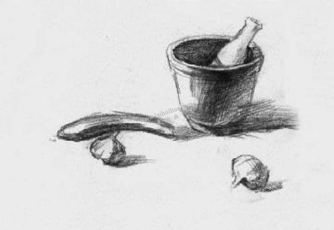 素描蒜瓣