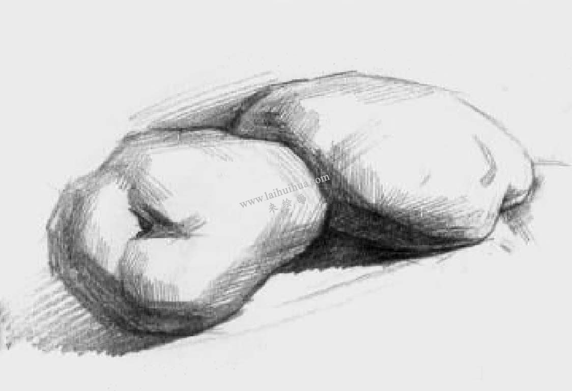 素描两个土豆 步骤四