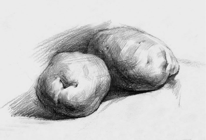 土豆素描画法（一）