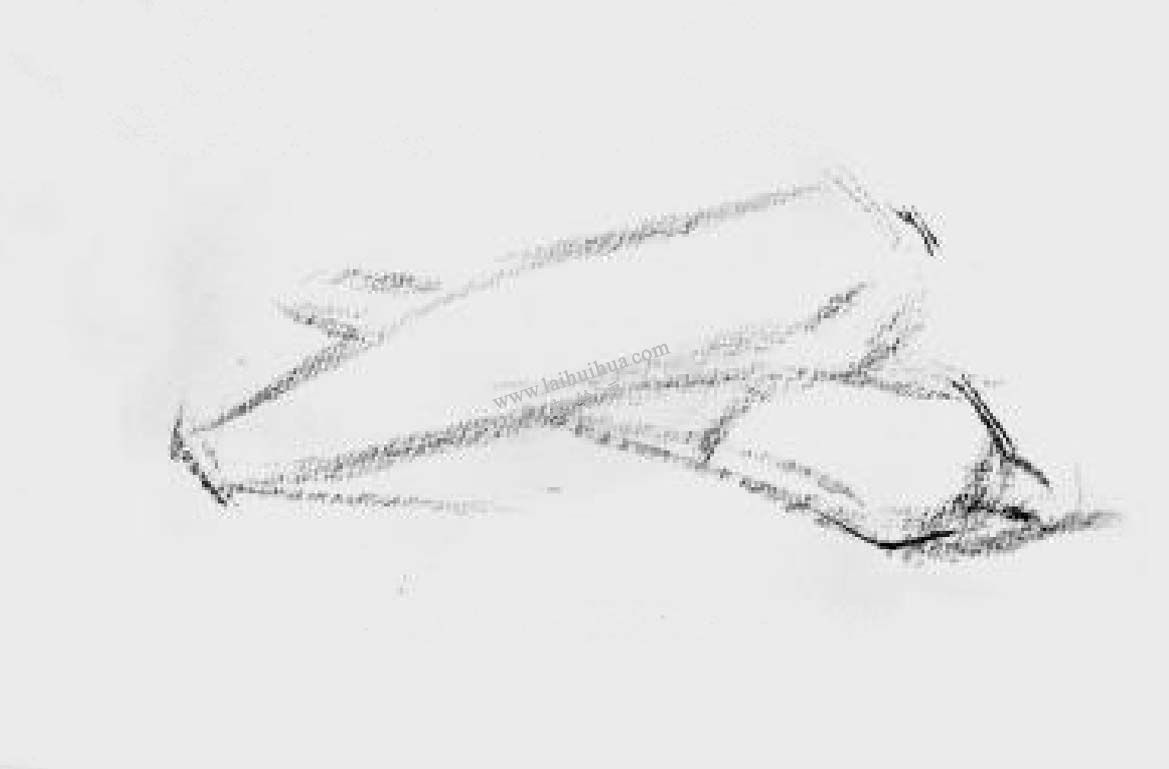 素描两个胡萝卜 步骤一