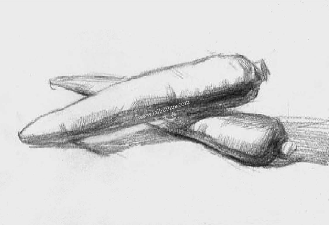 素描两个胡萝卜 步骤四