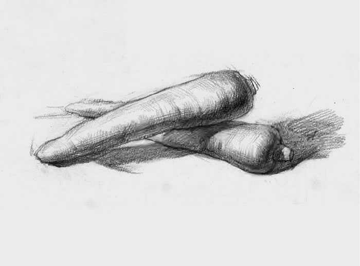 素描胡萝卜（一）