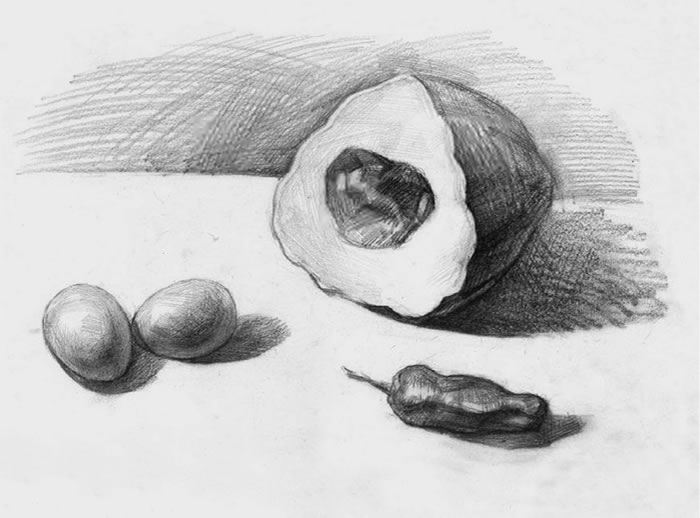 素描南瓜、鸡蛋和辣椒