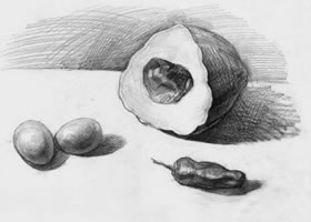 素描南瓜、鸡蛋和辣椒