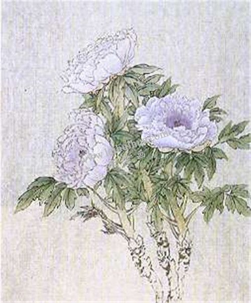 牡丹国画第七步画法