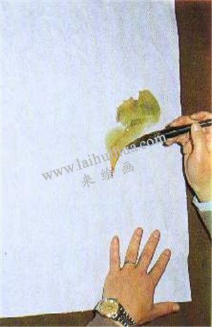 国画荷花绘画步骤第一步