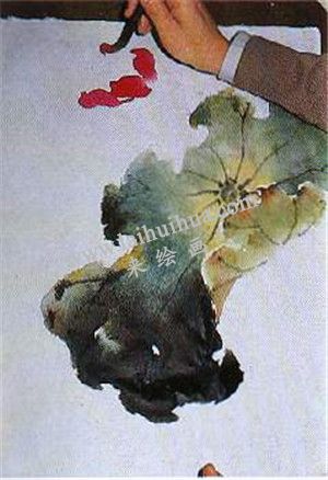 国画荷花绘画步骤第四步