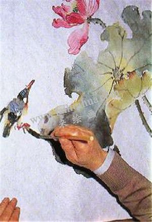 国画荷花绘画步骤第八步