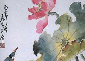国画荷花绘画方法步骤