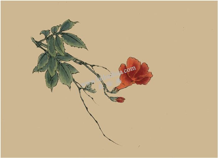 凌霄花的国画画法 步骤三