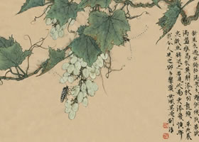 牵牛花的画法范例