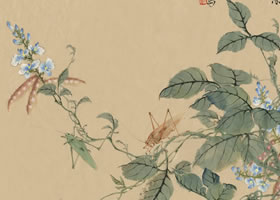豆花国画画法范例