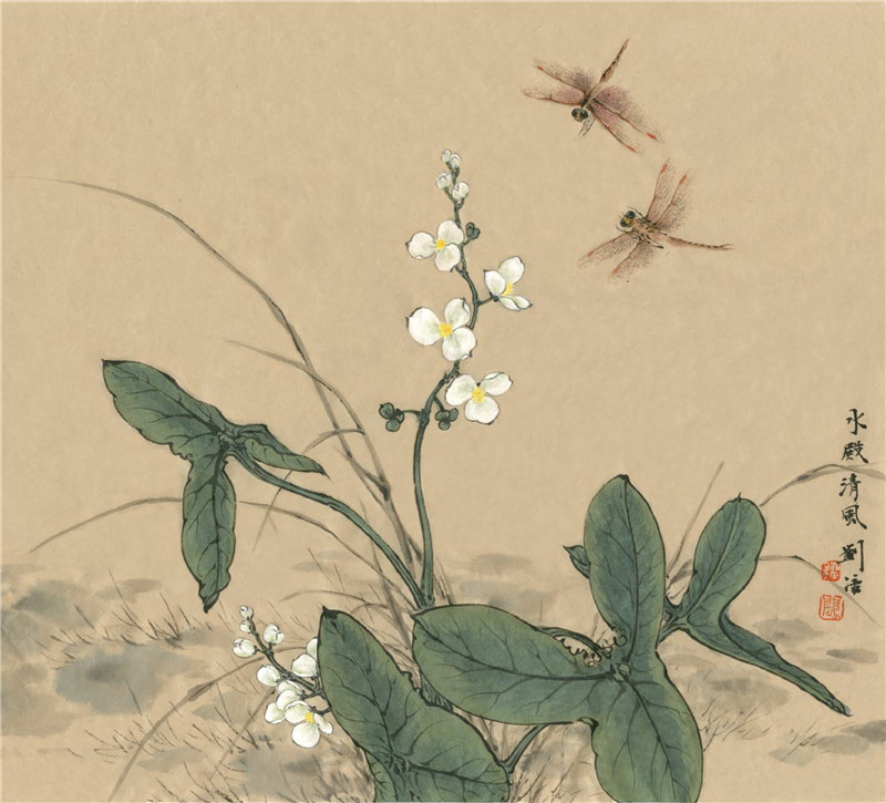 慈姑花国画画法