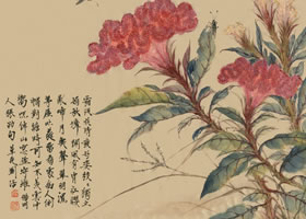 鸡冠花国画画法范例