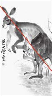 袋鼠的国画画法  小贴士