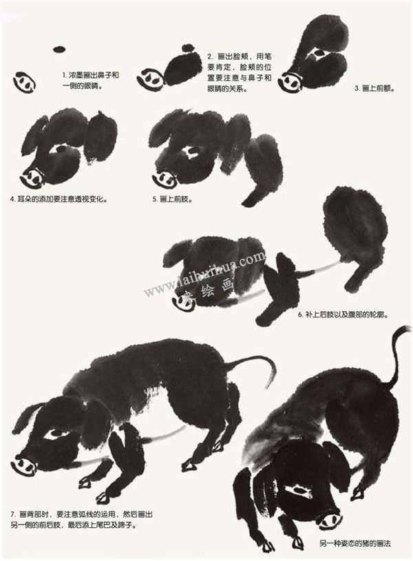猪的国画画法步骤