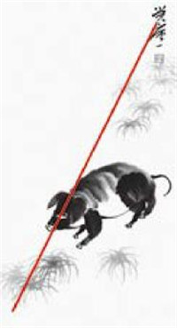 猪的国画画法