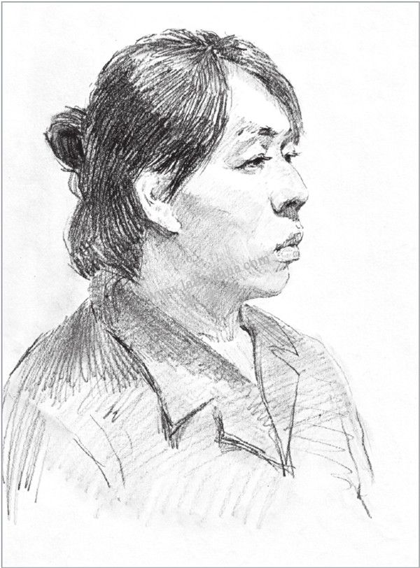 素描中年女性头像的绘画步骤 四