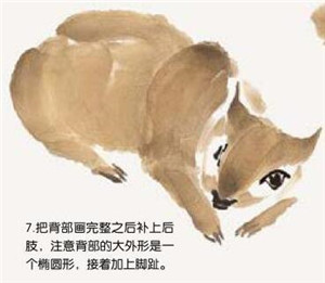 松鼠的国画画法 步骤七