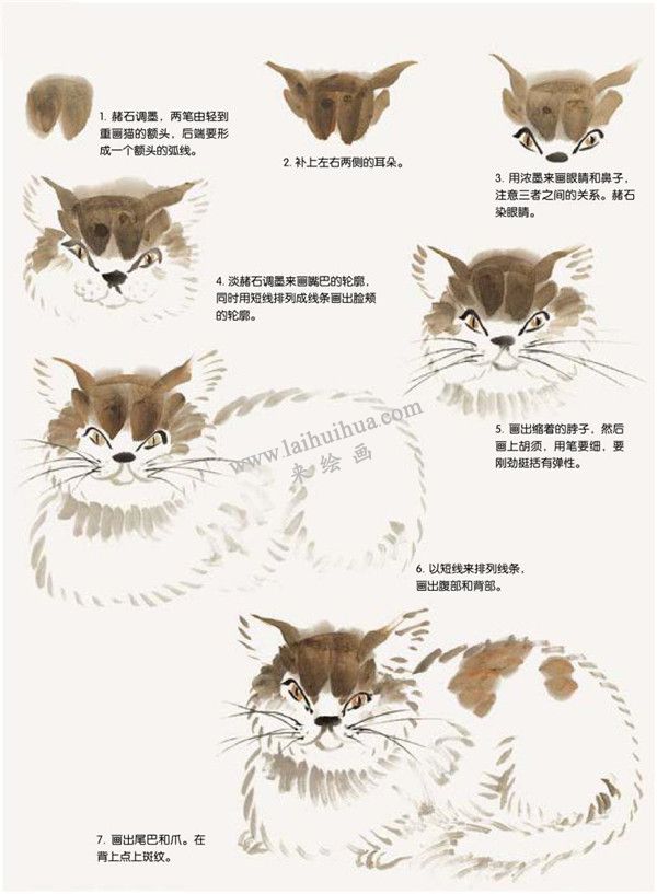 猫的国画画法步骤