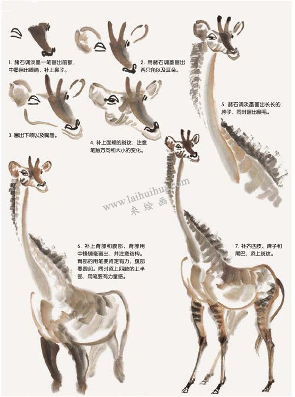 长颈鹿的国画画法步骤