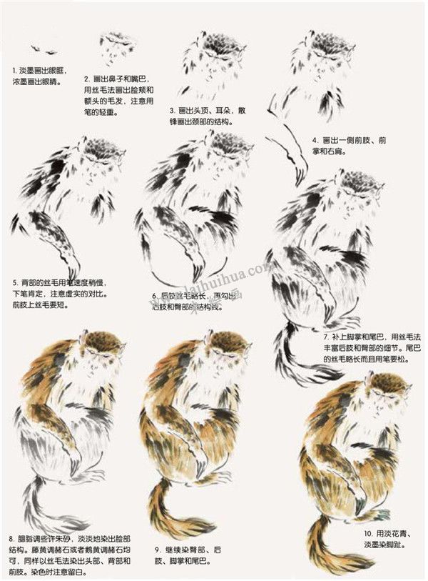 猴子的国画画法步骤