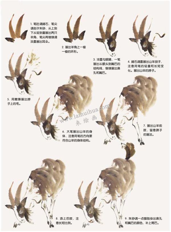 山羊的国画画法步骤