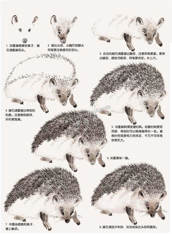 刺猬的国画画法步骤