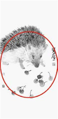 刺猬的国画画法步骤 小贴士