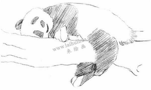 大熊猫的素描画法步骤 三