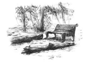 公园一角的素描绘画方法步骤