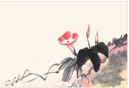 牵牛花的国画画法 步骤三