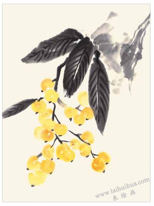 枇杷的国画画法 步骤三