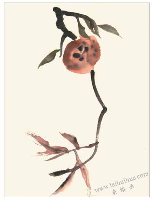 石榴的国画画法 步骤一