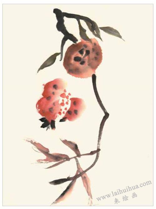 石榴的国画画法 步骤二