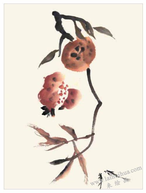 石榴的国画画法 步骤三