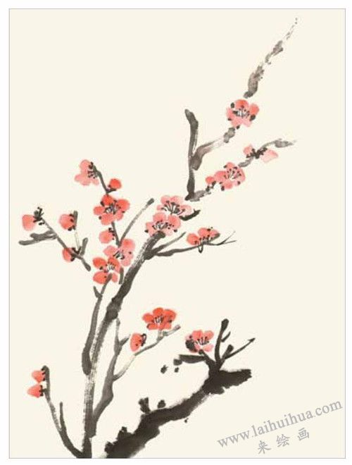 梅花的国画画法  步骤二