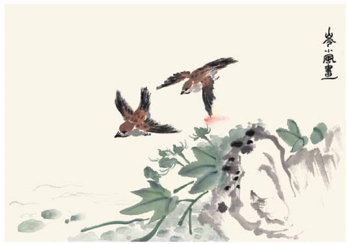 麻雀的国画画法