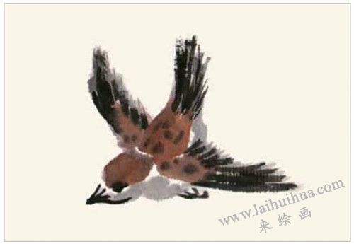 麻雀的国画画法  步骤一