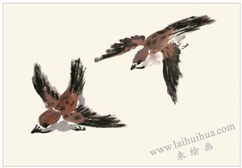 麻雀的国画画法  步骤二