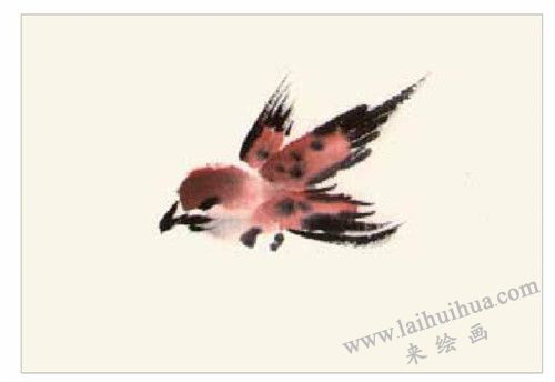 兰花的国画画法  步骤一