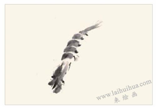 虾的国画画法  步骤一