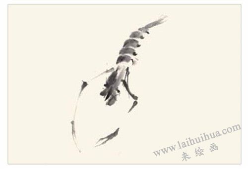 虾的国画画法  步骤二