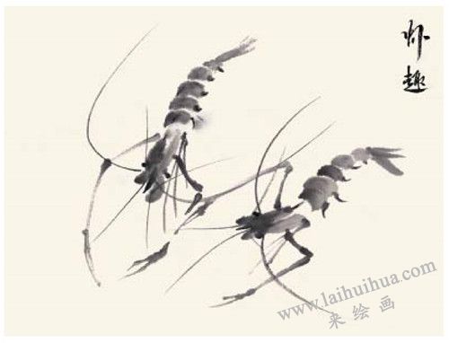 虾的国画画法  步骤四