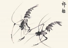 虾的国画画法