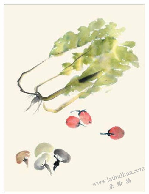白菜和蘑菇的国画画法 步骤二