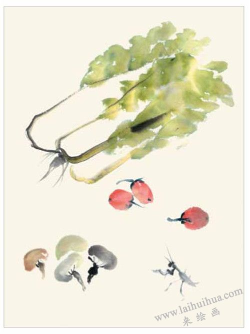 白菜和蘑菇的国画画法 三